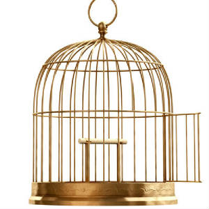 BirdCageOpen.jpg