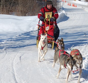 dogsled.JPG